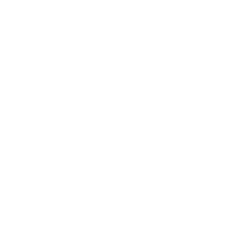 play-amo-logo